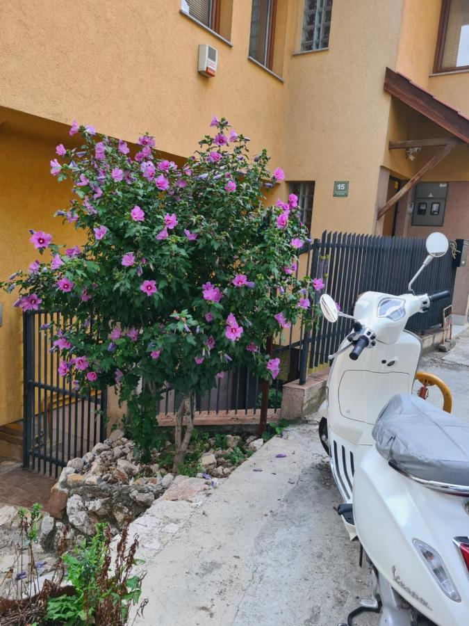 Apartman Yellow House Sarajewo Zewnętrze zdjęcie